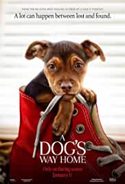 A Dogs Way Home 2019 Hindi Dubbed HdRip